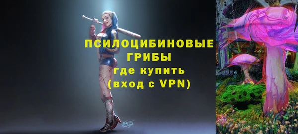 СК Магас