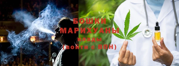 PSILOCYBIN Волосово