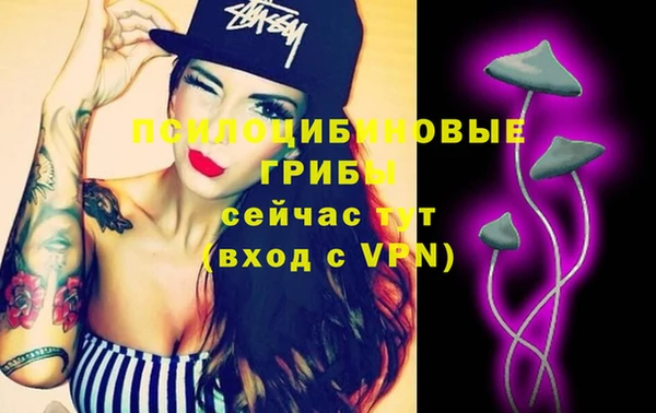 СК Магас