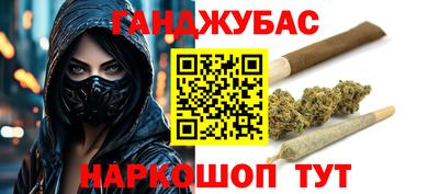 гидра Камышлов
