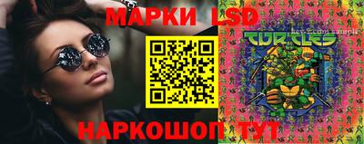 гидра Камышлов