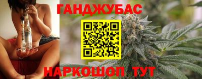 гидра Камышлов