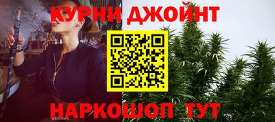 гидра Камышлов