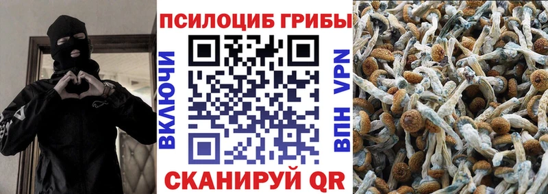 Галлюциногенные грибы GOLDEN TEACHER  МЕГА зеркало  Медногорск 