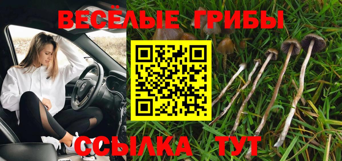 Псилоцибиновые грибы MAGIC MUSHROOMS  Вход с VPN  Медногорск 