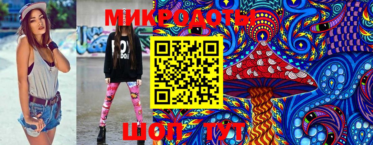 Псилоцибиновые грибы Psilocybine cubensis Медногорск