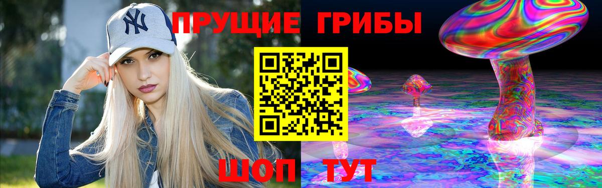 Псилоцибиновые грибы Psilocybe  Медногорск 